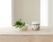 Заспокійливий крем з морським полином ROUND LAB MUGWORT Calming Cream 80 ml 02781 фото 3
